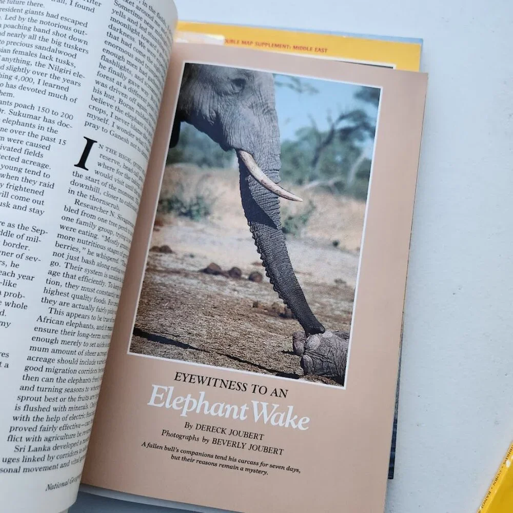 2X Vintage National Geographic Magazine Bundle Set Magazines Random 2 Magazines